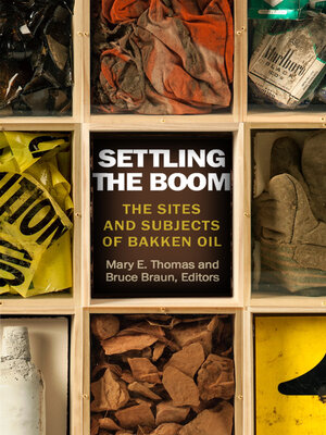 cover image of Settling the Boom